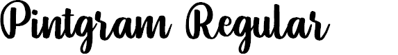 Preview image for Pintgram Regular
