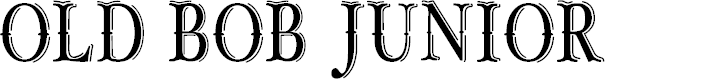 Preview image for OLD BOB JUNIOR_demo