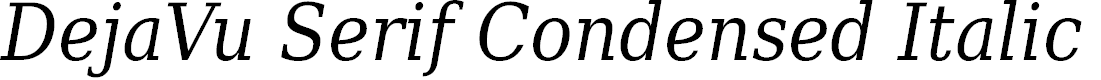 Preview image for DejaVu Serif Condensed Italic