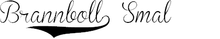 Preview image for Brannboll S PERSONAL USE ONLY