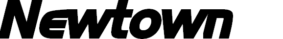 Preview image for Newtown Bold Italic