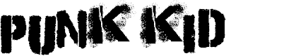 Preview image for Punk Kid