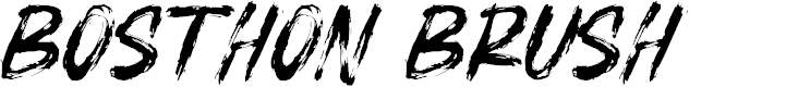 Preview image for BOSTHON BRUSH
