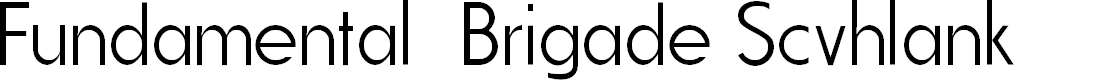 Preview image for Fundamental Brigade Scvhlank