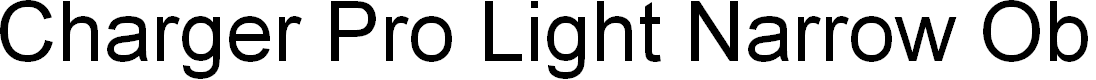 Preview image for Charger Pro Light Narrow Oblique