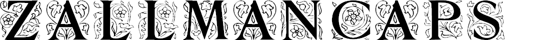 Preview image for ZallmanCaps
