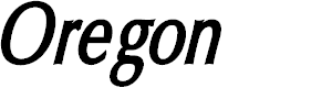 Preview image for Oregon LDO Condensed Bold Oblique