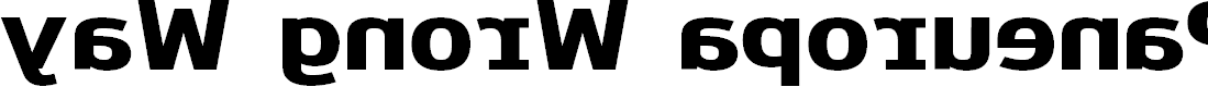 Preview image for Paneuropa Wrong Way
