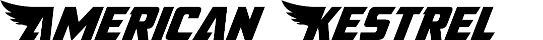 Preview image for American Kestrel Font