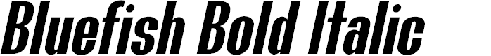 Preview image for Bluefish Demo Bold Italic