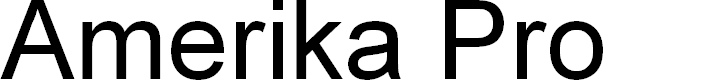 Preview image for AmerikaPro