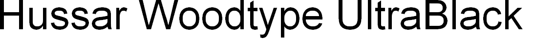 Preview image for Hussar Woodtype UltraBlack Oblique