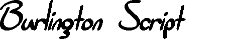 Preview image for SF Burlington Script Bold
