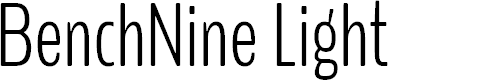 Preview image for BenchNine Light