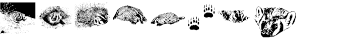 Preview image for KR Crystal's Badgers