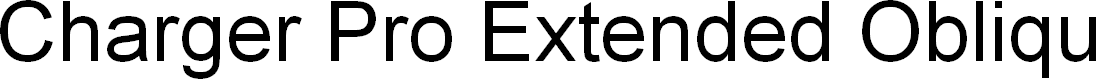 Preview image for Charger Pro Extended Oblique