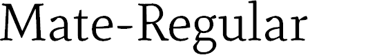 Preview image for Mate-Regular