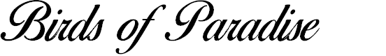Preview image for Birds of Paradise - Personal use Only