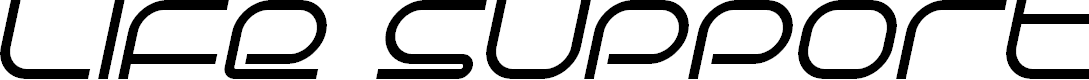 Preview image for Life Support Italic