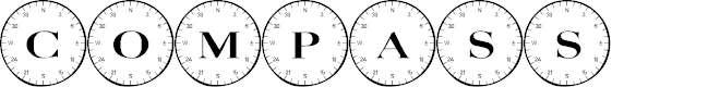 Preview image for 101! Compass