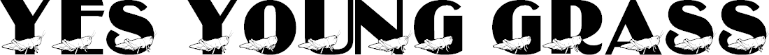 Preview image for LMS Yes Young Grasshopper