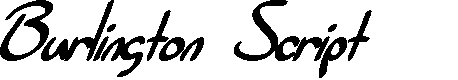 Preview image for SF Burlington Script Bold Italic