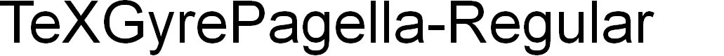 Preview image for TeXGyrePagella-Regular