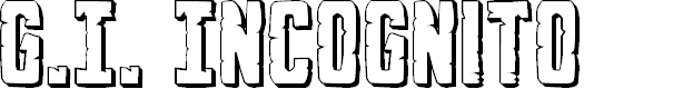 Preview image for G.I. Incognito 3D Regular