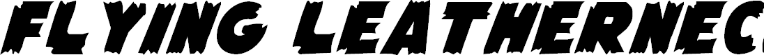 Preview image for Flying Leatherneck Font