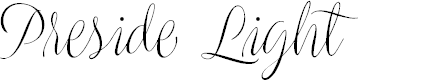 Preview image for Preside Light PERSONAL USE ONLY