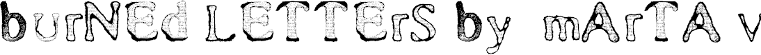 Preview image for Burned Letters by Marta van Eck