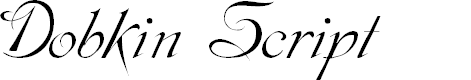 Preview image for Dobkin Script