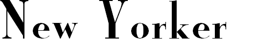 Preview image for New Yorker