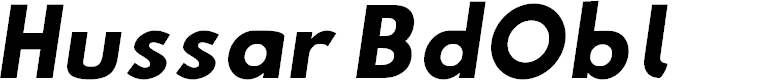 Preview image for Hussar BdObl