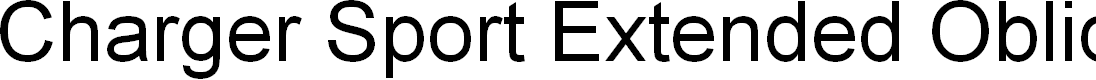 Preview image for Charger Sport Extended Oblique