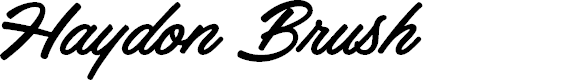 Preview image for Haydon Brush PERSONAL USE