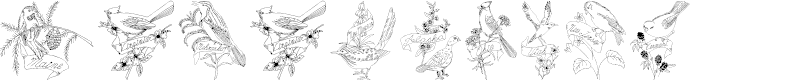 Preview image for StateBirds