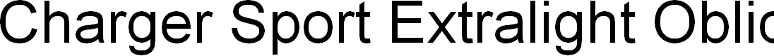Preview image for Charger Sport Extralight Oblique