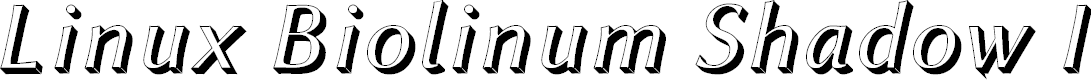 Preview image for Linux Biolinum Shadow Italic