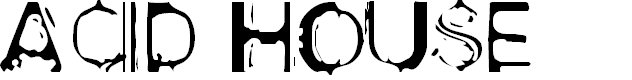 Preview image for Acid House