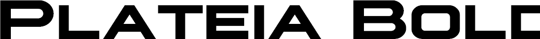 Preview image for Plateia Bold