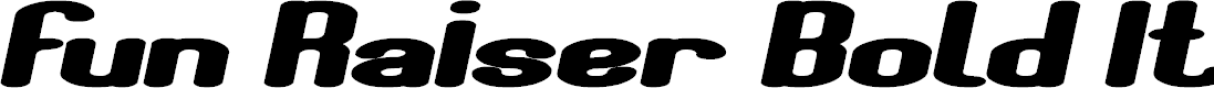 Preview image for Fun Raiser Bold Italic