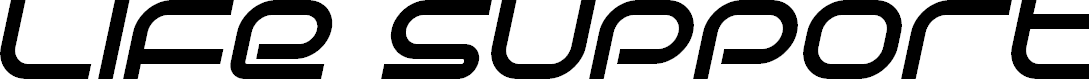 Preview image for Life Support Bold Italic