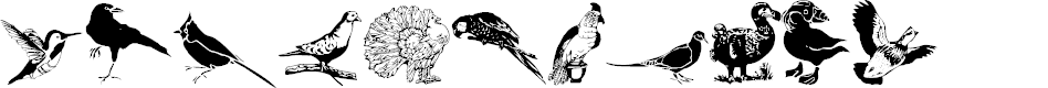 Preview image for WWFeathers