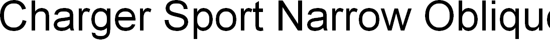 Preview image for Charger Sport Narrow Oblique
