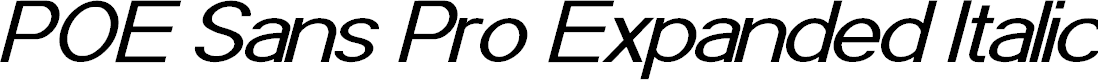 Preview image for POE Sans Pro Expanded Italic