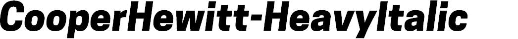 Preview image for CooperHewitt-HeavyItalic