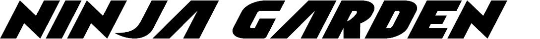 Preview image for Ninja Garden Italic Font