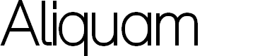 Preview image for Aliquam