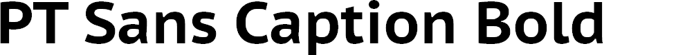 Preview image for PT Sans Caption Bold